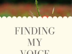 A picture of a single poppy with the title Finding My Voice in Grief authored by Christi Bovee, bereaved grandmother and owner of The Voice Love Co. Christi shares her heartbreak at losing her preterm first grandchild here.